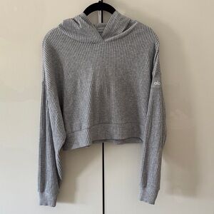Alo Muse Gray Ribbed Cropped Hoodie XS